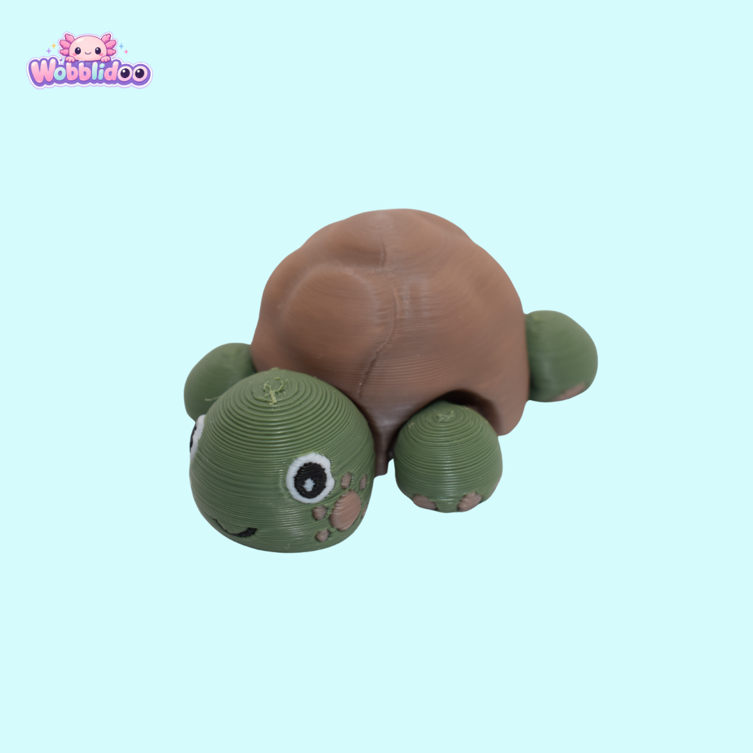 Rufus The Turtle (S)